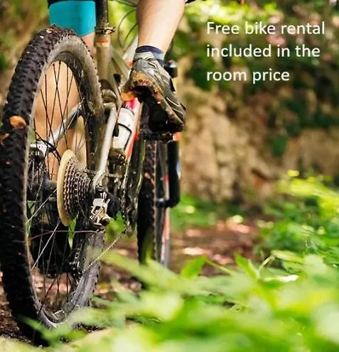 Limhamn - őrbottyán Villa